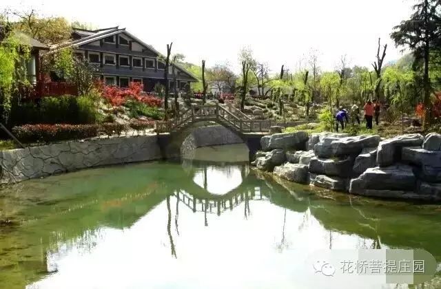 這個周末，隴南康縣花橋有大事要發(fā)生？