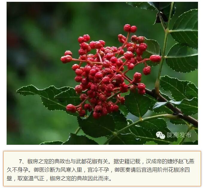 蘭渝鐵路最早由孫中山先生提出？在隴南，你不知道的事兒還有……