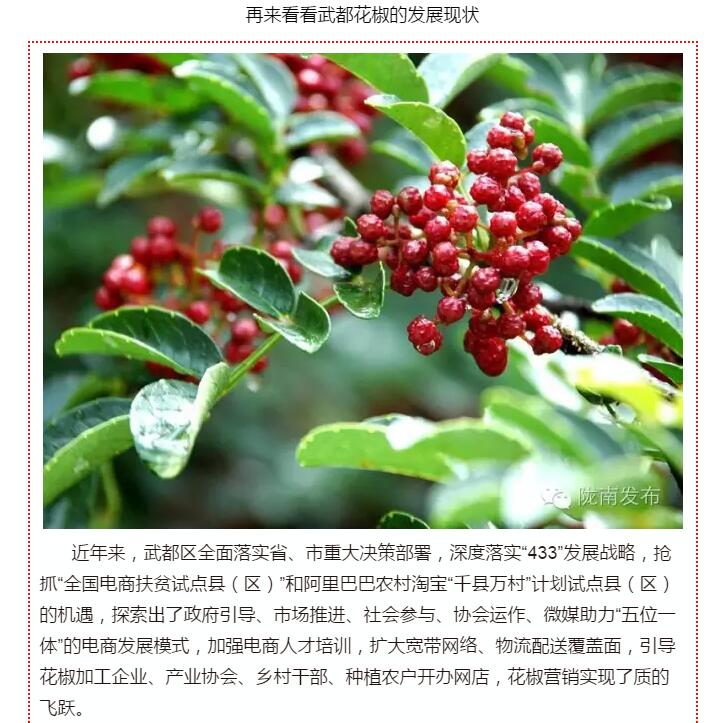 5.28億！一場(chǎng)盛會(huì)，武都花椒“火”了
