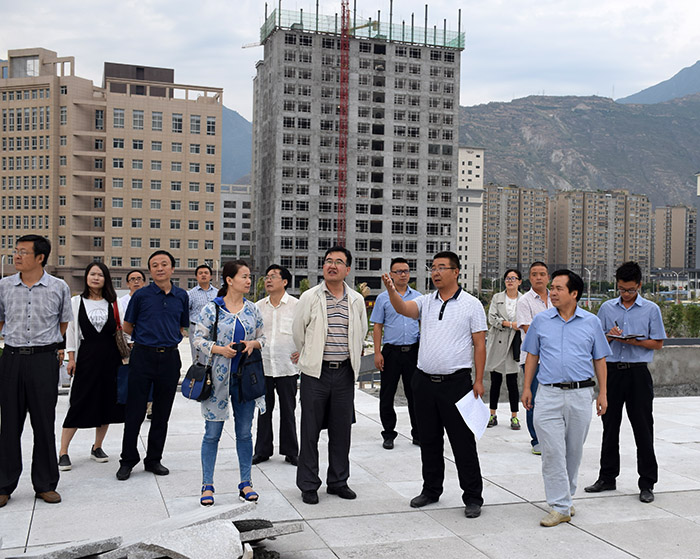 省、市聯(lián)合工作組蒞臨階州廣場檢查指導(dǎo)工作