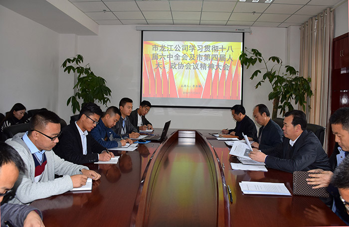 市龍江公司召開全體員工大會(huì)，專題傳達(dá)學(xué)習(xí)上級(jí)會(huì)議精神