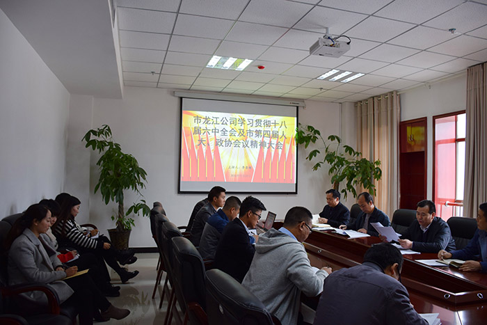 市龍江公司召開全體員工大會(huì)，專題傳達(dá)學(xué)習(xí)上級(jí)會(huì)議精神
