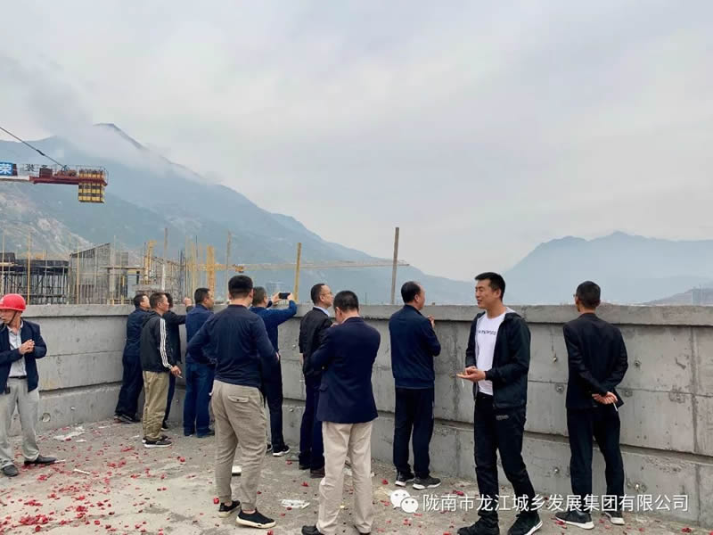 匠心傾注、喜封金頂——龍江?雙子座商住小區(qū)主體順利封頂